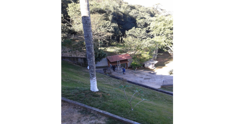 Chácara à venda Rodovia Fernão Dias, Mairiporã - Imóveis à Venda