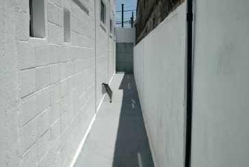 Galpão à venda no Jardim Cidade Pirituba na Rua Dendê