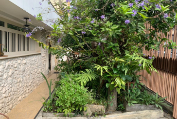 Casa Térrea no Jardim Maristela na Rua Coronel Augusto Machado