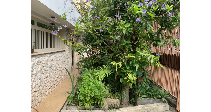 Casa Térrea no Jardim Maristela na Rua Coronel Augusto Machado