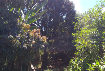 Terreno à venda na Vila Clarice na Rua João Rodrigues Leite