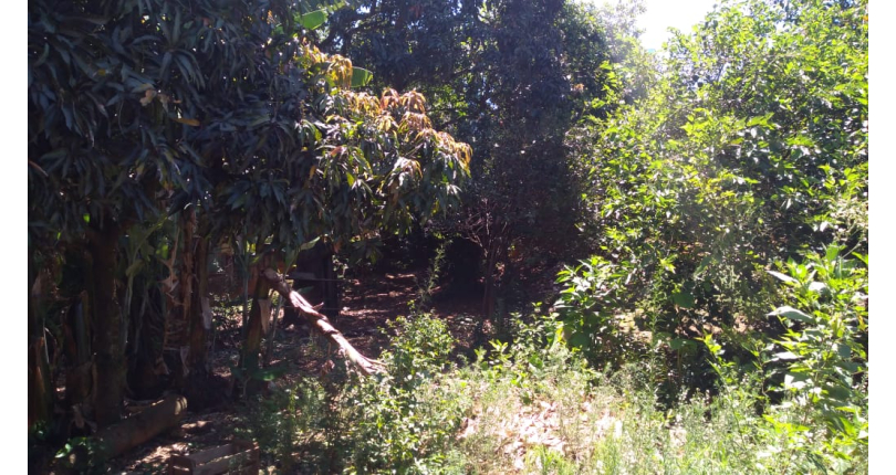 Terreno à venda na Vila Clarice na Rua João Rodrigues Leite