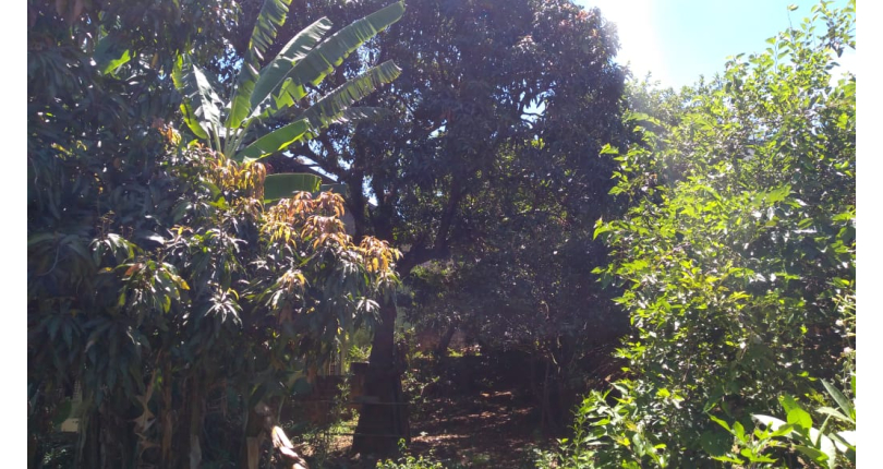 Terreno à venda na Vila Clarice na Rua João Rodrigues Leite