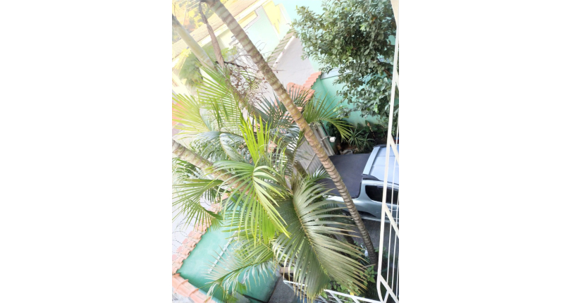 Sobrado à venda em Caieiras bairro Vera Tereza na Rua Fernando Lima dos Santos