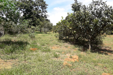 Sítio à venda em Pirapora de Bom Jesus na Rua Três Estrelas