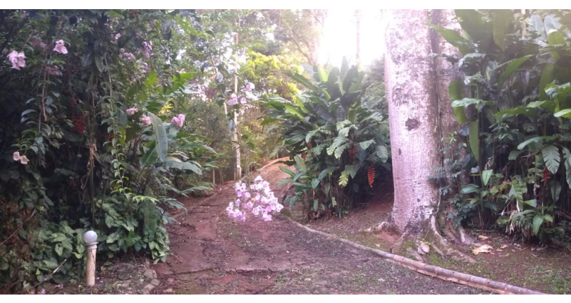 Terreno à venda em Santana de Parnaíba Chácara Jaguari (Fazendinha)na Estrada Jaguari
