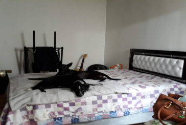 Casa à venda no Jardim Bela Vista (Zona Norte) na Rua Cabo Silveira