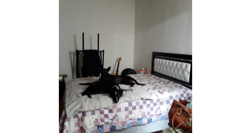 Casa à venda no Jardim Bela Vista (Zona Norte) na Rua Cabo Silveira