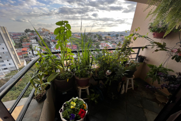 Apartamento à venda na Vila Pirituba na Rua Luís Cunha 235