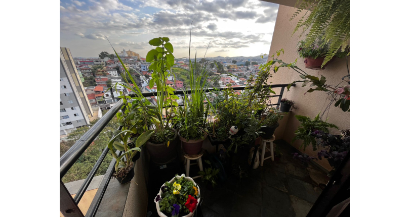 Apartamento à venda na Vila Pirituba na Rua Luís Cunha 235