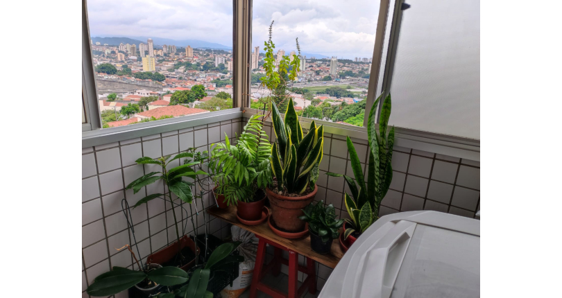 Apartamento à venda na Vila Jaguará na Rua Coronel Virgílio dos Santos 500