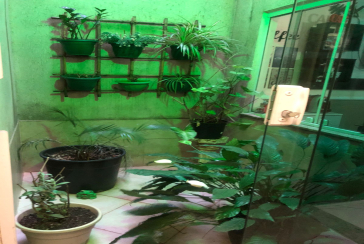 Belo Sobrado à venda na Vila Guedes na Rua São Francisco de Assis