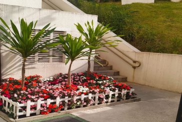 Apartamento à venda no Jardim Iris na Avenida Santa Isabel do Rio Negro 140