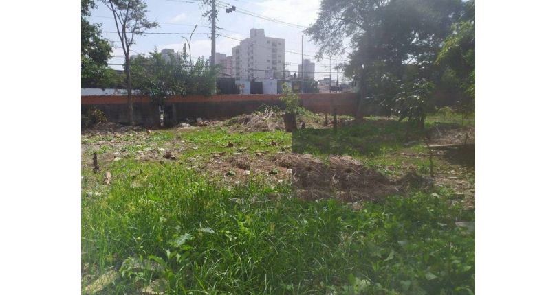 Terreno à venda na Vila Hamburguesa na Avenida Queiroz Filho