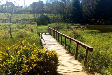 Terreno á venda no City América na  Avenida Cardeal Motta