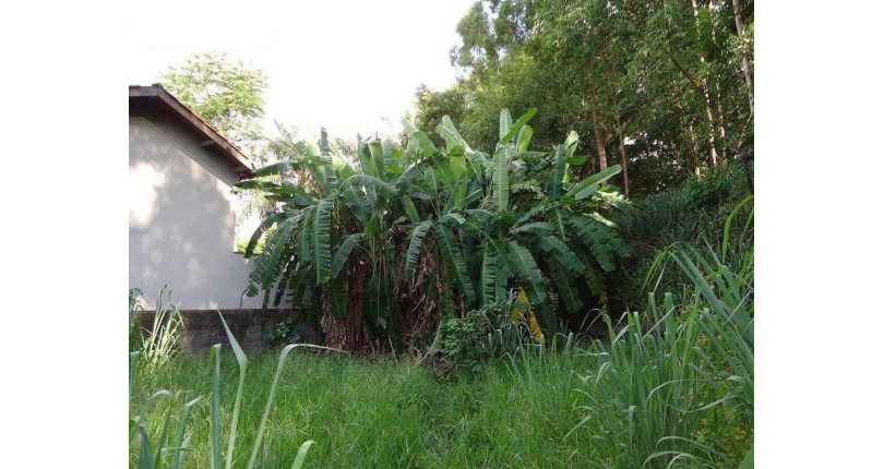 Terreno á venda no City América na  Avenida Cardeal Motta