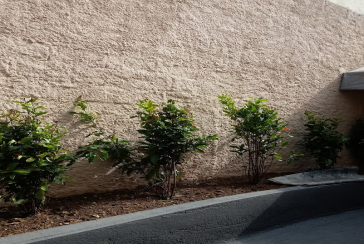 Sobrado comercial à venda no Jaraguá na Rua Doutor Rafael de Araújo Ribeiro