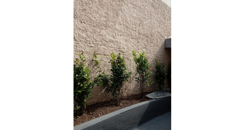 Sobrado comercial à venda no Jaraguá na Rua Doutor Rafael de Araújo Ribeiro