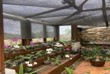 Lindo Apartamento à Venda em Pirituba no Condomínio Sítio Anhanguera