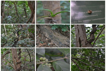Lindo Apartamento à Venda em Pirituba no Condomínio Sítio Anhanguera, 