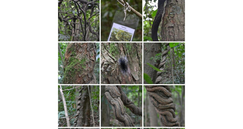 Lindo Apartamento à Venda em Pirituba no Condomínio Sítio Anhanguera, 
