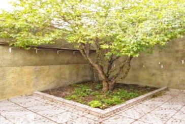 Belo Sobrado à venda na Vila Barreto na Rua Doutor Achiles Lisboa,