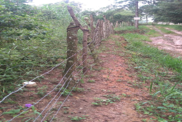 Terreno à venda em Osasco no bairro Industrial Anhangüera na Estrada da Alpina s/n