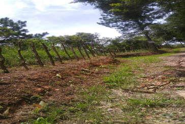 Terreno à venda em Osasco no bairro Industrial Anhangüera na Estrada da Alpina s/n