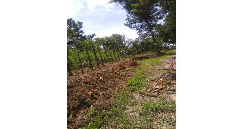 Terreno à venda em Osasco no bairro Industrial Anhangüera na Estrada da Alpina s/n