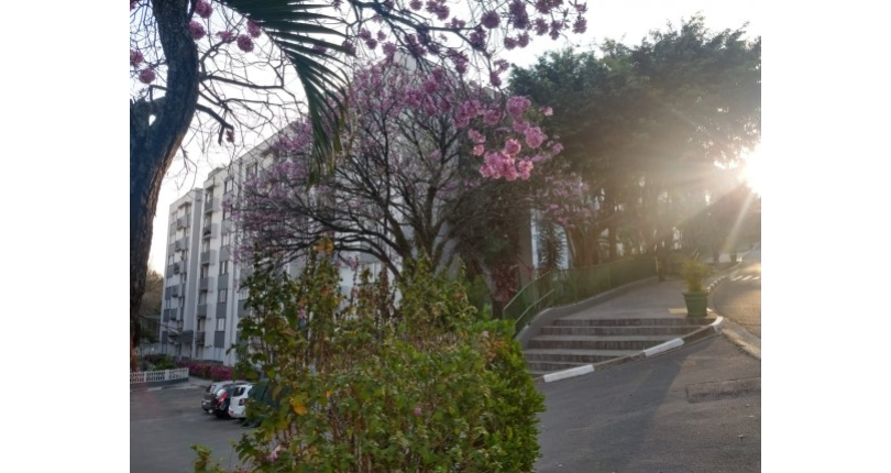 Oportunidade: Apartamento à venda no Jardim Santa Mônica na Avenida Santa Monica 593