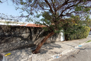 Casas para renda à venda no Jardim Santo Elias na Rua Otávio Gonçalves Martins