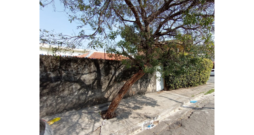 Casas para renda à venda no Jardim Santo Elias na Rua Otávio Gonçalves Martins