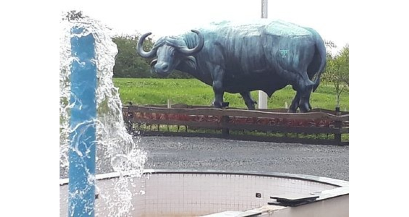 Chácara à venda Estrada Cba, Km 6,5, Juquiá - Imóveis à Venda