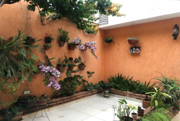 Belo Sobrado à venda na Vila Guedes na Rua Carolina Guedes, 