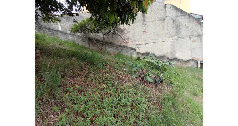 Terreno à venda no Jardim Mutinga na Rua Gustavo de Lacerda