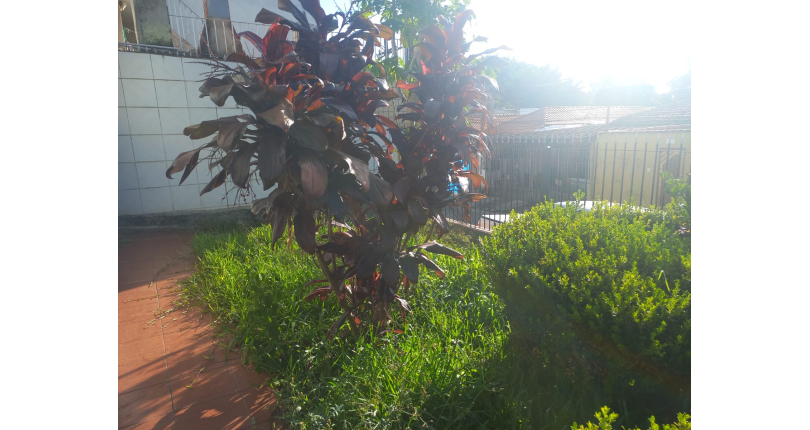 Casa Térrea à venda na Vila dos Remédios na Rua Lopo Homem