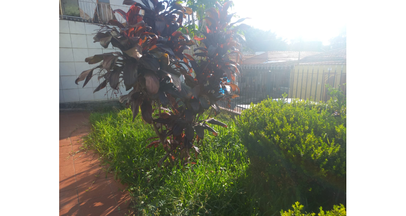 Casa Térrea à venda na Vila dos Remédios na Rua Lopo Homem