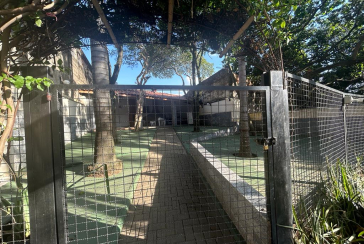 Lindo Apartamento à venda na Vila Guedes na Rua Martinho do Amaral 101, no Condomínio Edifício Safira 