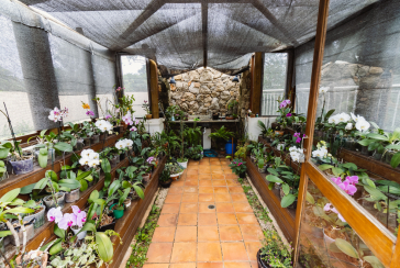 Apartamento à venda em Pirituba no Condomínio Sítio Anhanguera na Rua Willian Furneau 140, no Edifício Sabia