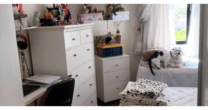 Apartamento à venda na Vila Hamburguesa na Rua Brentano 340