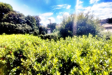 Casa à venda na Vila Guedes na Rua José da Costa Ramos