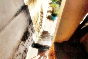 Casa à venda na Vila Guedes na Rua José da Costa Ramos