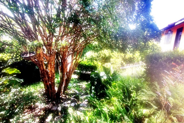 Casa à venda na Vila Guedes na Rua José da Costa Ramos