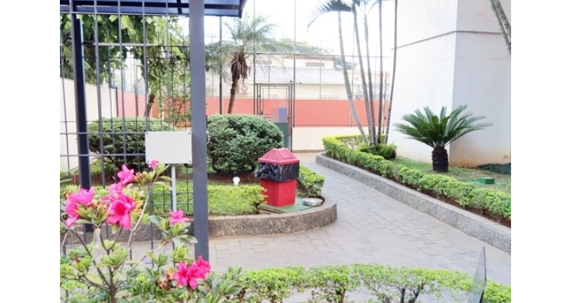 Apartamento à venda Rua Brito Peixoto, 294, Vila Primavera - Imóveis à Venda