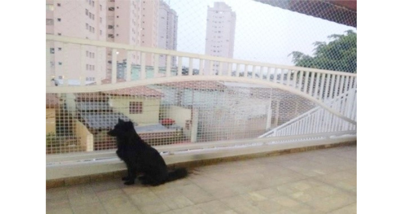 Sobrado à venda no Parque Maria Domitila na Rua Antonio Felix Pacheco