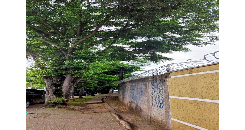 Apartamento à venda no Parque Nações Unidas na Avenida Dois 106