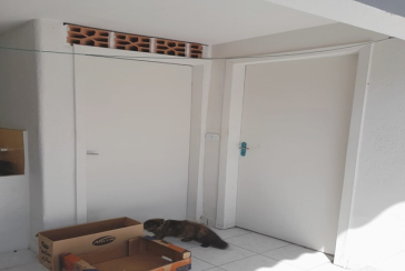 Sobrado à venda no Bairro da Vila Pereira Barreto na Rua Maestro João Portaro