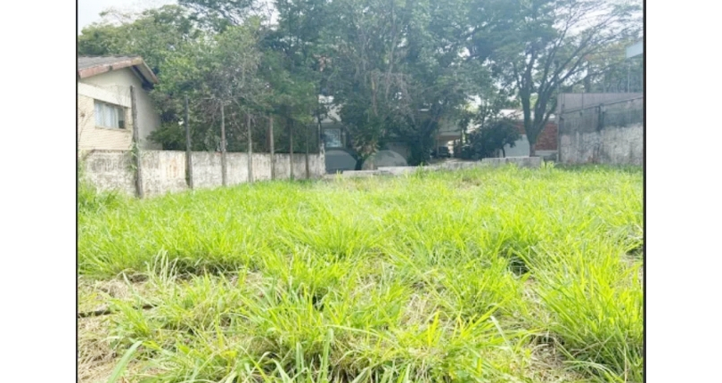 Terreno único à venda no Bairro da Boaçava na Rua Pau-Brasil