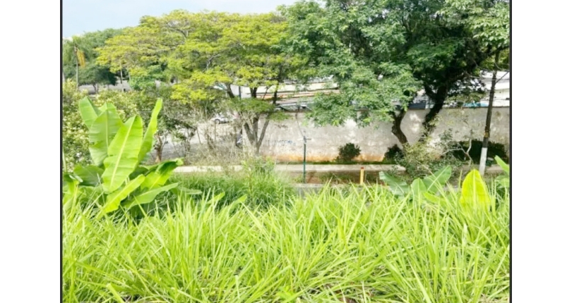 Terreno único à venda no Bairro da Boaçava na Rua Pau-Brasil