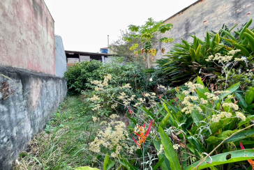 Sobrado à venda no Bairro da Chácara Inglesa na Rua Doutor Augusto Andrade